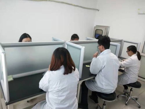 陵城区空气质量检测服务 守护蓝天白云的专业力量